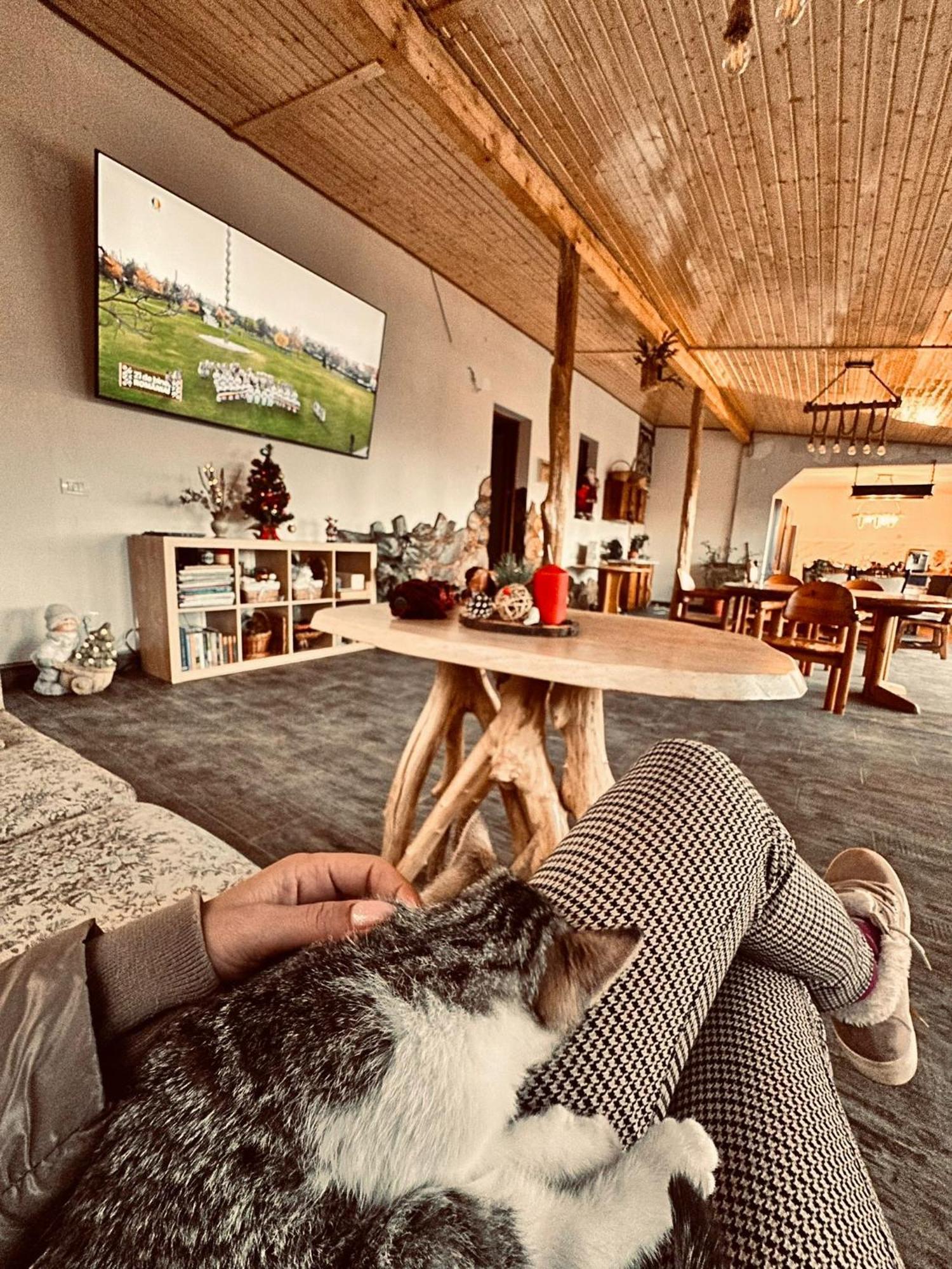 Pensiunea Salas Salasu de Sus Buitenkant foto