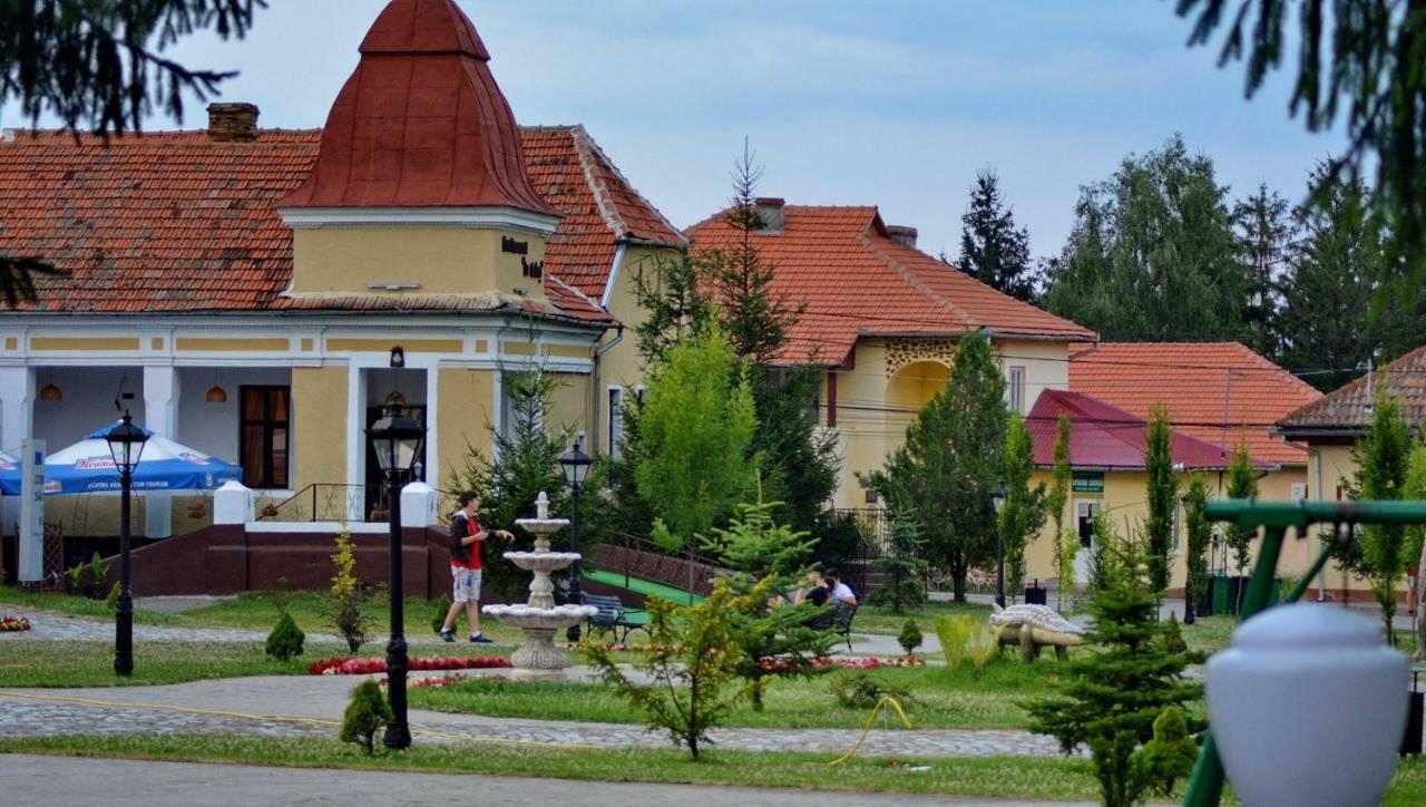 Pensiunea Salas Salasu de Sus Buitenkant foto