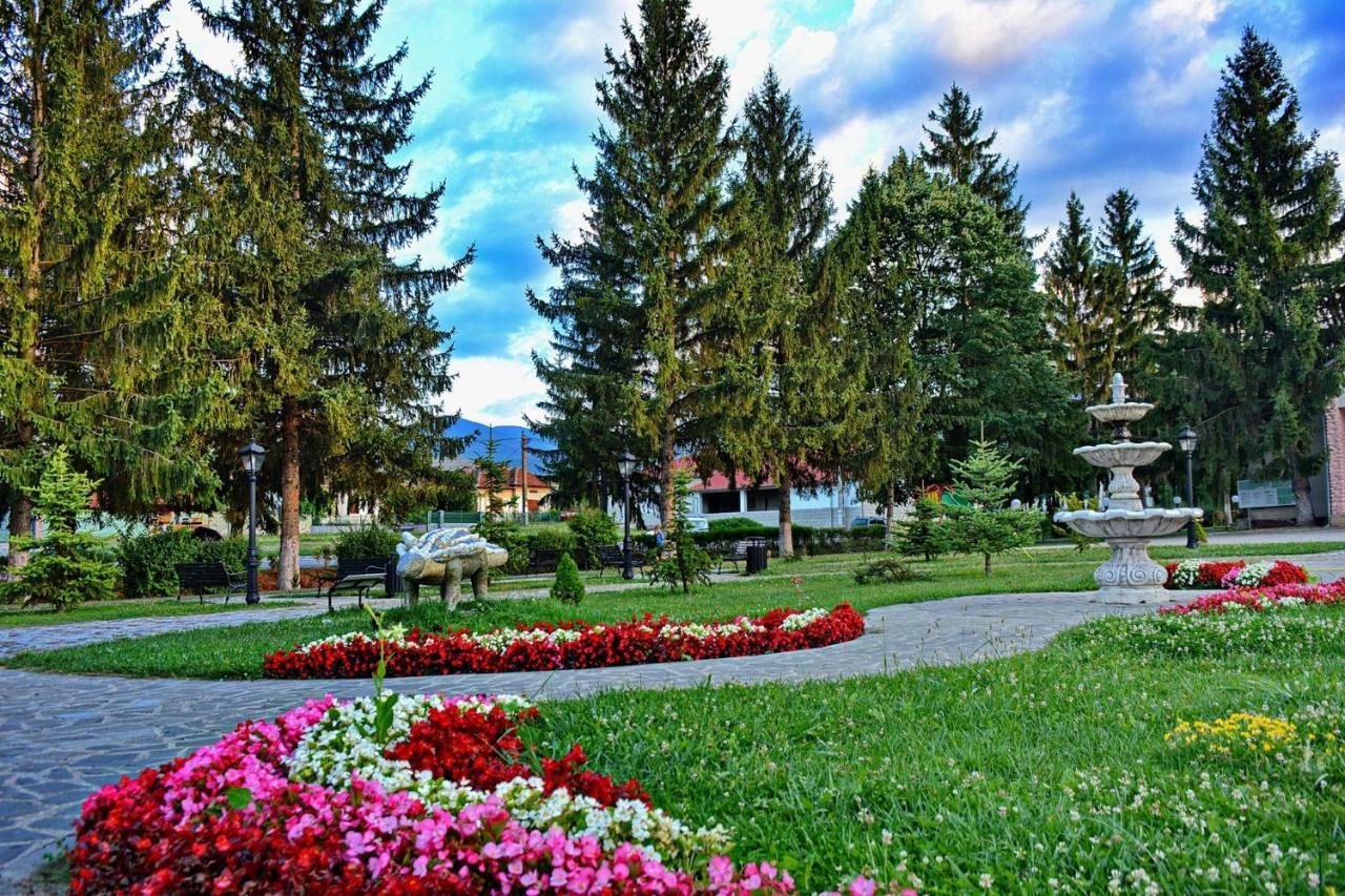 Pensiunea Salas Salasu de Sus Buitenkant foto