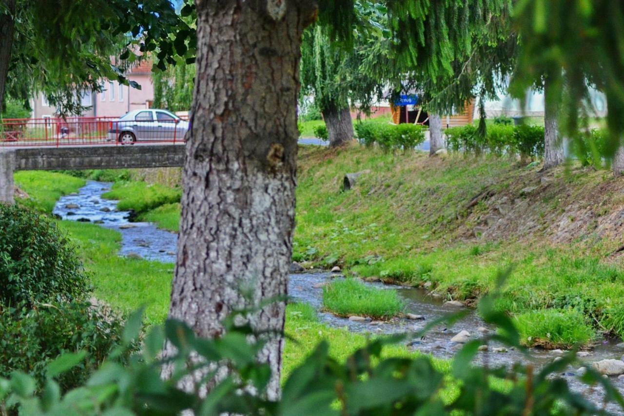 Pensiunea Salas Hotel Salasu de Sus Buitenkant foto