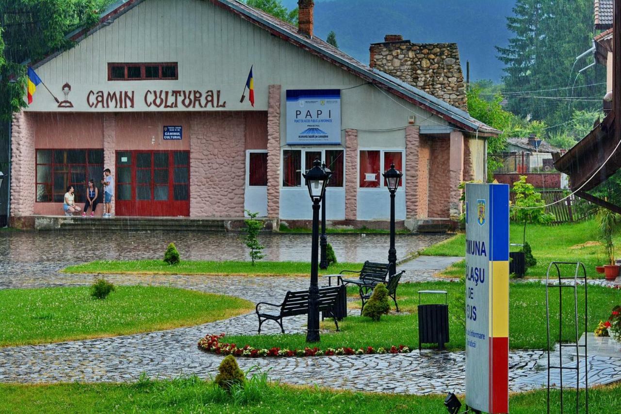 Pensiunea Salas Salasu de Sus Buitenkant foto