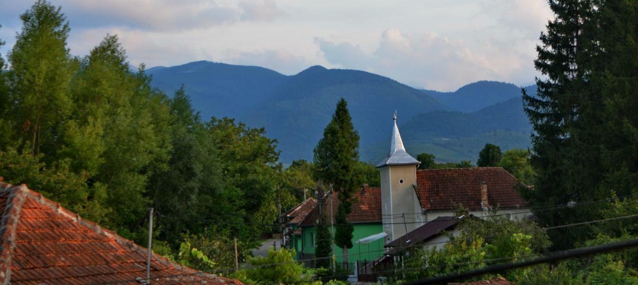 Pensiunea Salas Salasu de Sus Buitenkant foto