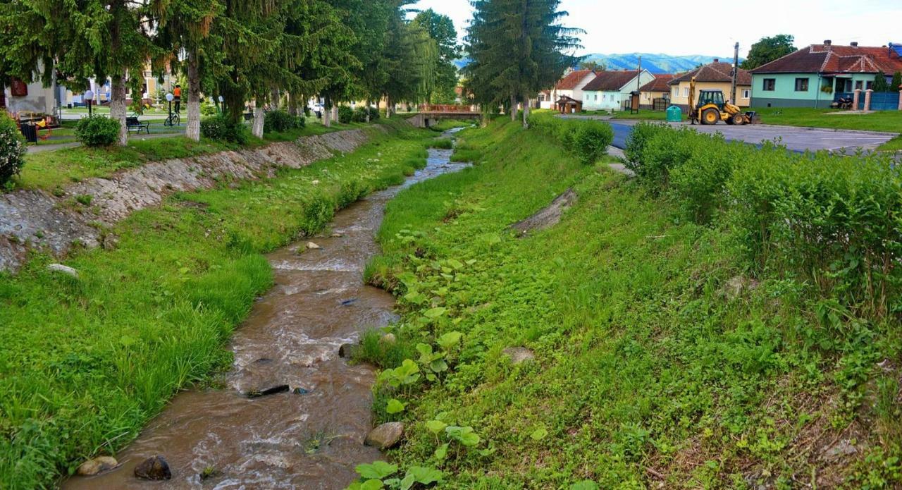 Pensiunea Salas Salasu de Sus Buitenkant foto